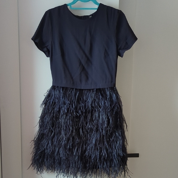 Club Monaco Dresses & Skirts - Chic Black Feathered Dress